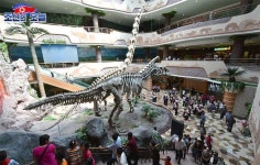 자연박물관에서 - At the Natural History Museum - | History museum, Natural history, History