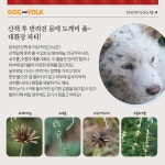 강아지 몸에 덕지덕지 붙어오는 도깨비풀! 몸에 붙어오는 풀씨들의 종류와 위험성에 대해 매거진을 통해 알아봐요! 중요한 사실 또 한가지!... 