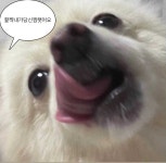 말풍선