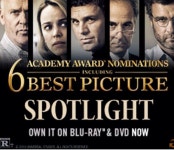 스포트라이트 Spotlight | 스포트라이트