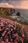 Pin by 한결 서 on Beautiful | Nature aesthetic, Nature photography, T wallpaper
