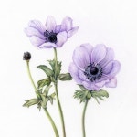 botanicalart #식물세밀화 #보태니컬아트 #꽃그리기 #coloredpencils #색연필일러스트 #취미미술 #원데이클래스 #관찰드로잉