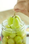 Fruits에 관한 93개의 최상의 Pinterest 이미지 Fruits