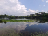 reflections | 성당못 - 2022
