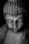Budha에 관한 25개의 최상의 Pinterest 이미지 Budha