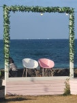 제주도 오면 꼭 가봐야 할 - 세화해변카페 페어리제주 | Home decor, Cafe, Decor