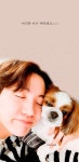 Hope World 여러분 마니 짜랑해요~~~ #JHOPE (con imágenes) | Fondos de pantalla, Fotos, Bts