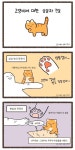 고양이에 대한 상상과 진실.manhwa : 네이버 블로그 - 2020 | 웃긴 밈, 웃긴, 재미있는 농담