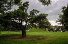 경주 여행 | Golf courses, Golf