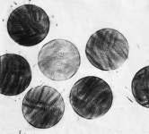 t117 B texture 오혜린 22