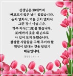 선생님은 30세까지… #문선명총재 #한학자총재 #천성경 선생님은 30세까지… #문선명총재 #한학자총재 #천성경 | Letter board, Lettering