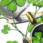 대전미술학원 디자인필 미술학원 대현t on Instagram: "클로버 찻잔 학생작...!!" | 찻잔