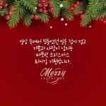 성탄절 이미지, 저작권 없는 크리스마스 이미지 모음, 무료 다운로드해서 크리스마스 카드 만드세요.