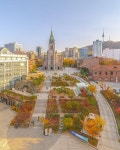 Pin page 정선우 Sunwoo_Jeong on Instagram: “명동성당과 1898+ 광장🍁 1898 myeongdong cathedral   명동성당 앞, 열린 공간에... 