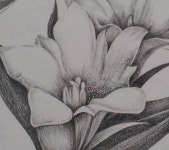 작가되기#2 연필로 작품 모사하기 작가되기#2 연필로 작품 모사하기 | 페인트, 그림, 작가되기