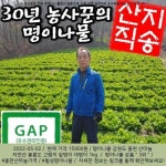 2022-05-02 ☞ 15900원 ☞ 명이나물 강원도 홍천 산마늘 자연산 울릉도 고랭지 잎명이 대명이 1kg 2kg 만나산채농장, 대명이(대포함)-1kg... 