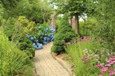 Hydrangea - 팜카밀레 수국에 있는 Jungchul Park님의 핀 - 2020 | 수국