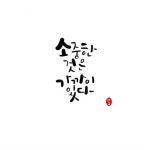 1일 1캘리 (5월1일~31일)