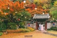 계절별 웨딩 촬영 아이디어: 봄, 여름, 가을, 겨울 사계절 특색 살리기