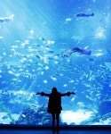 제주도 동부 1박 2일 여행렌트카 없어도 괜찮아! | 대중교통, 해변, 브런치