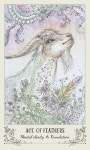 타로카드에 있는 Helena.love. uuu님의 핀 | 타로 카드