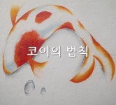 코이의 법칙 | 명언, 자존감, 행복
