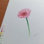 Pin page Damiart on Instagram: “#꽃그림 #그림 #꽃스타그램 #세밀화... 일상 #취미미술레슨 #보타니컬아트 #프리즈마색연필”