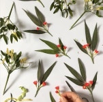 Pin by 수민 조 on Цветы из бумаги | Paper flowers, Handmade flowers, Paper bouquet