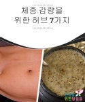 드리밍(허브다이어트) | 체중 감량을 위한 최고의 식물 11가지 — 건강을 위한 발걸음 | 허브, 쉬운 요리, 다이어트