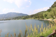 사진에 있는 수빈님의 핀 | 사진