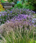 garden II에 있는 Marija S님의 핀