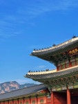 Royal Palace / 경복궁