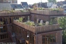 Rooftop Farm에 있는 Dachgemüse님의 핀
