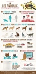 Chats에 관한 12개의 최상의 Pinterest 이미지 Chats