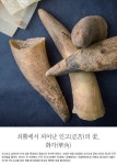 소박한 멋을 선호했던 조선시대 공예 가운데 화각은 유독 화려함을 뽐낸다. 화각은 전 세계에서 오직 우리나라에만 존재하는 공예분야다.... 