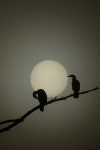 필인 さんのボード「캘리그라피」 | フリーズ, 写真集