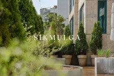 식물가 SIKMULGA 플랜테리어