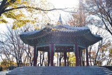 남산 팔각정 - 2022