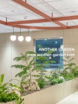 LOréal Icheon DC 직원식당 / 어나더가든 LOréal Icheon DC 직원식당 / 어나더가든 in 2024 | Garden projects, Garden, Projects