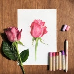 kr #oilpastel #oilpasteldrawing #flowerdrawing #rose #pinkrose #drawing #oilpastelflower #flower #오일파스텔꽃 #오일파스텔드로잉... 