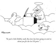 Dogs에 관한 222개의 최상의 Pinterest 이미지 | 개와 고양이, 웃긴 동물 및 강아지 Dogs