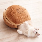 #스토어봄 #고양이 #냥이 #반려묘 #고양이하우스