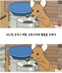 은혜 갚은 고라니!????