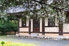 비내리는 회연서원 | Beautiful pictures, Gazebo, Outdoor structures