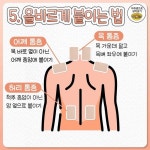아픈 부위, 원인별 효과 좋은 파스 고르는 팁 - 지식사이트