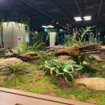 * Project : 서울식물원 카페 오아시스 * Client : 오아시스 * Type : Natural & Artificial Plants * Location : 서울시 강서구 마곡로 161... 
