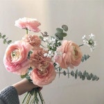 #전주꽃집#허밍로즈 #호아니#전주카페”#ranunculus #eucalyptus #florist #floraldesign #freshflowers #flowers #pastel