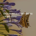 기타에 있는 EA님의 핀 - 2023