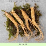 11200원 ☞ 금산 인삼, 1팩 ☞ #금산홍삼즙 #금산홍삼진액 11200원 ☞ 금산 인삼, 1팩 ☞  #금산홍삼즙  #금산홍삼진액