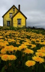 House에 관한 38개의 최상의 Pinterest 이미지 | 해변 주택, 수영장 및 집 House